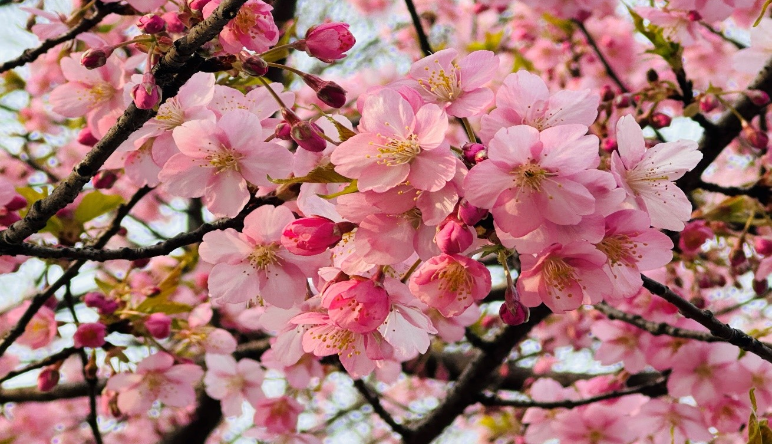 英国·威廉希尔(williamhill)唯一中文官方网站