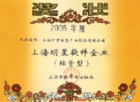 上海明星软件企业